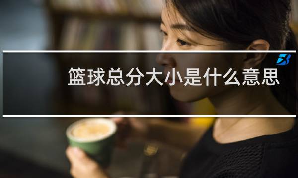 篮球总分大小是什么意思图片