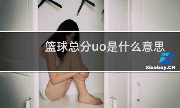 篮球总分uo是什么意思图片
