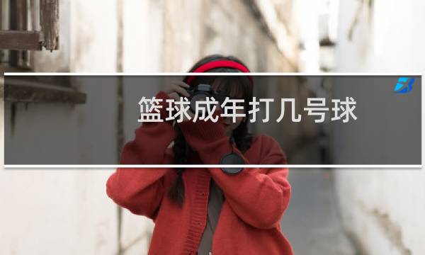 篮球成年打几号球图片