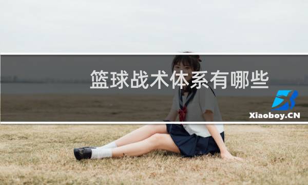 篮球战术体系有哪些图片