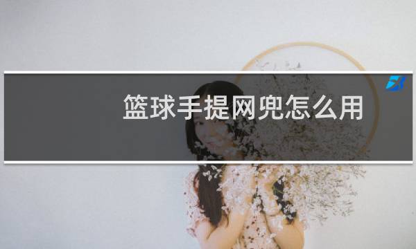 篮球手提网兜怎么用图片