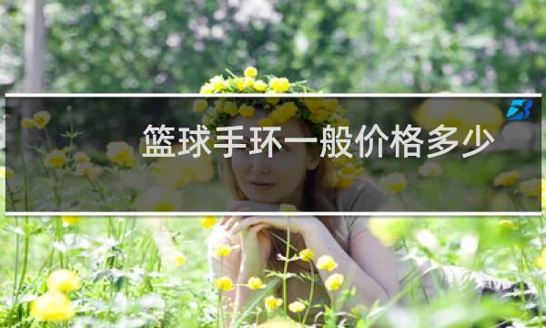 篮球手环一般价格多少图片