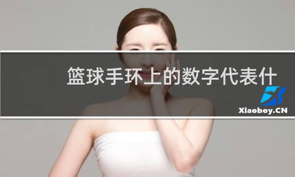 篮球手环上的数字代表什么图片