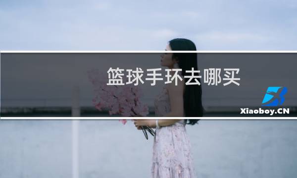 篮球手环去哪买图片
