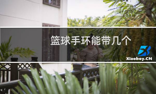 篮球手环能带几个图片