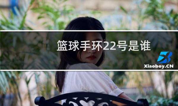 篮球手环22号是谁图片