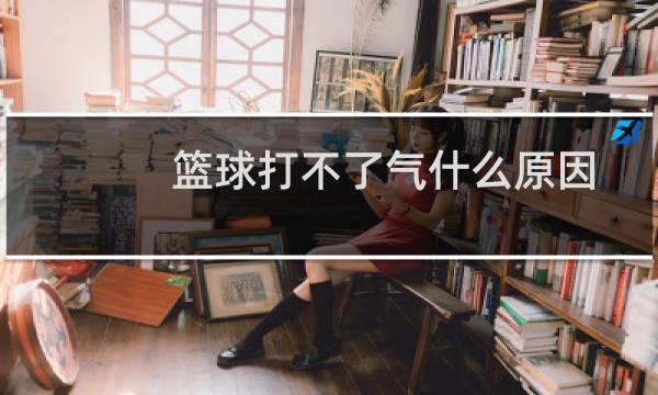 篮球打不了气什么原因图片