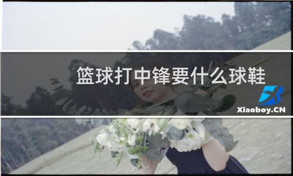 篮球打中锋要什么球鞋图片