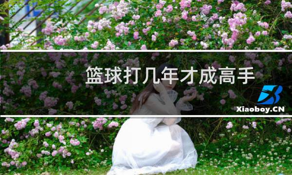 篮球打几年才成高手图片
