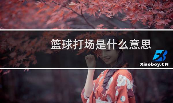 篮球打场是什么意思图片