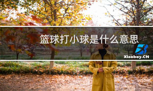 篮球打小球是什么意思图片