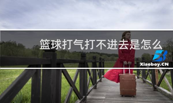 篮球打气打不进去是怎么回事图片