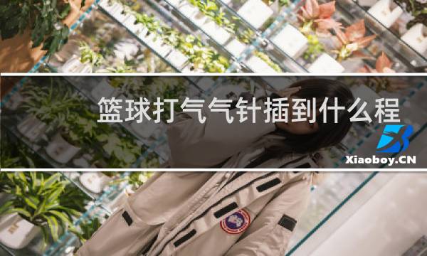 篮球打气气针插到什么程度正好图片
