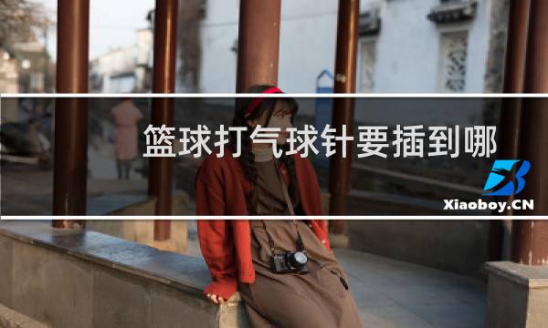 篮球打气球针要插到哪图片