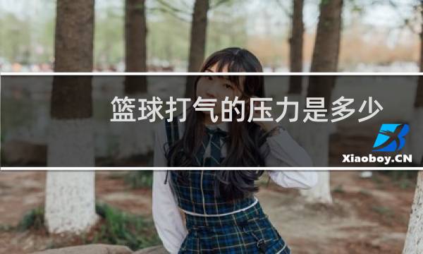 篮球打气的压力是多少图片