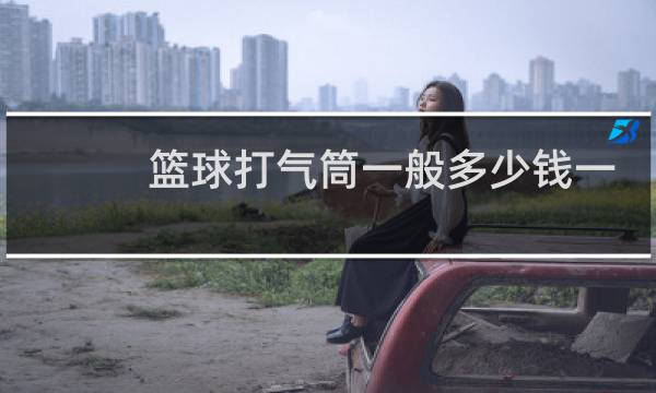 篮球打气筒一般多少钱一个图片