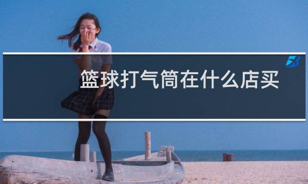篮球打气筒在什么店买图片