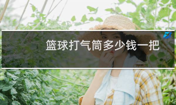 篮球打气筒多少钱一把图片