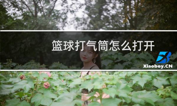 篮球打气筒怎么打开图片