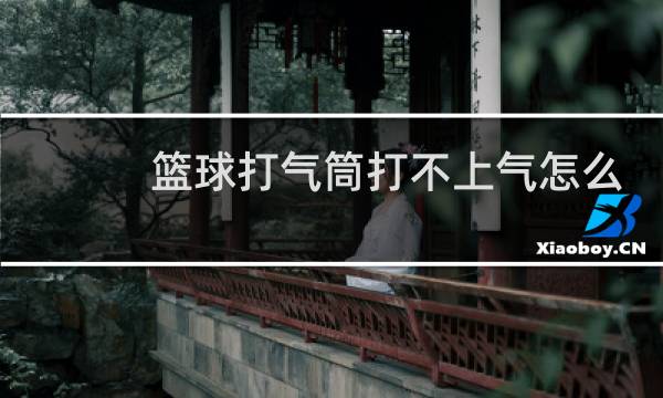 篮球打气筒打不上气怎么办图片