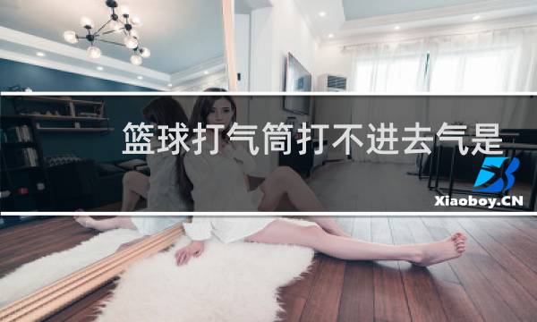 篮球打气筒打不进去气是为什么图片