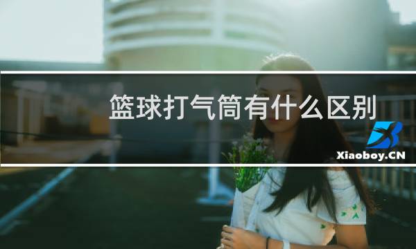 篮球打气筒有什么区别图片