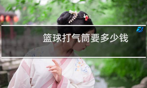篮球打气筒要多少钱图片