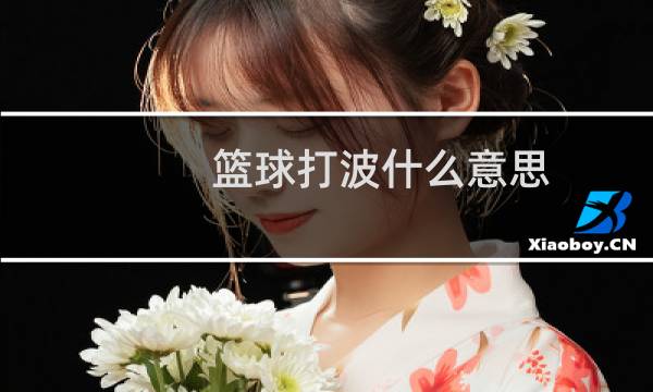 篮球打波什么意思图片