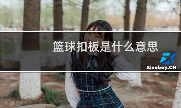 篮球扣板是什么意思图片