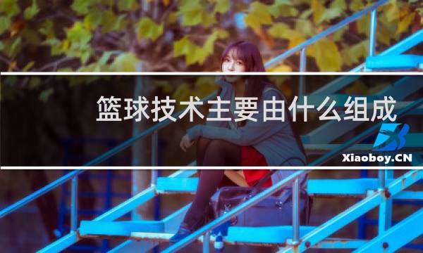 篮球技术主要由什么组成图片