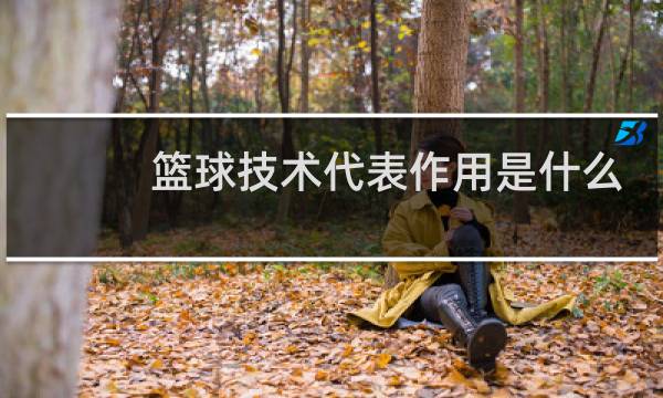 篮球技术代表作用是什么图片