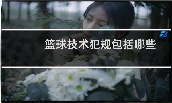 篮球技术犯规包括哪些图片