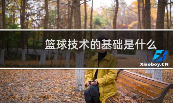 篮球技术的基础是什么图片