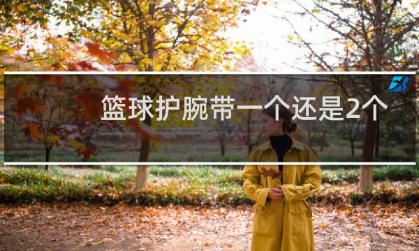 篮球护腕带一个还是2个图片