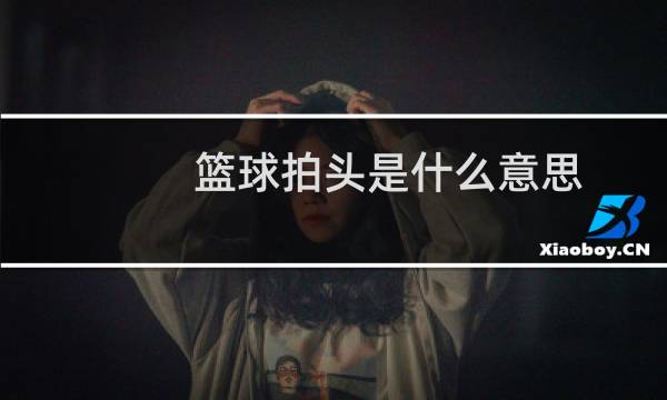 篮球拍头是什么意思图片