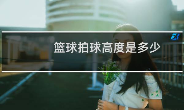 篮球拍球高度是多少图片