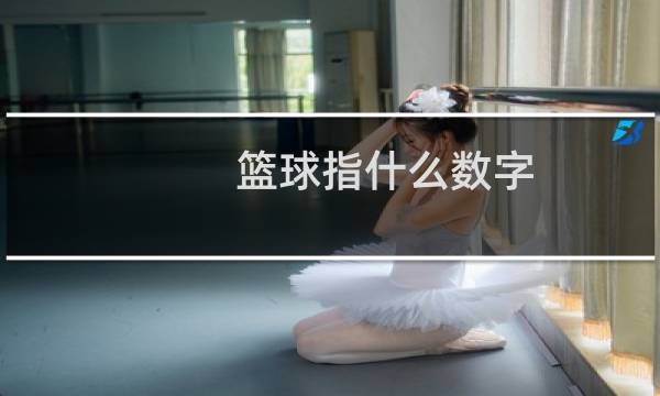 篮球指什么数字图片