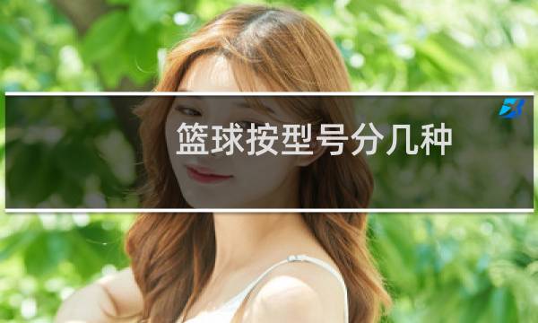 篮球按型号分几种图片