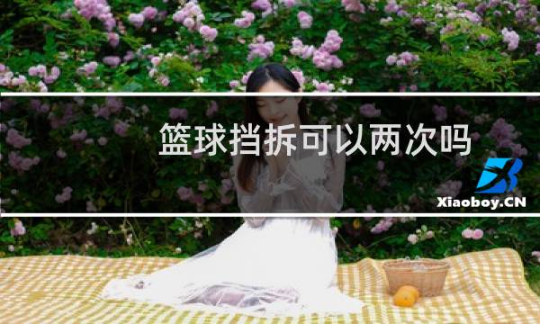 篮球挡拆可以两次吗图片