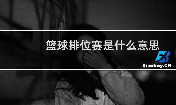 篮球排位赛是什么意思图片