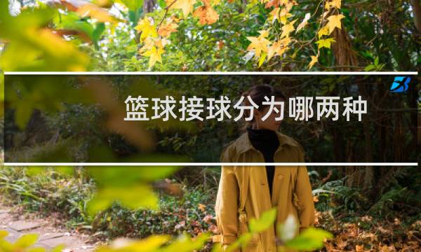 篮球接球分为哪两种图片