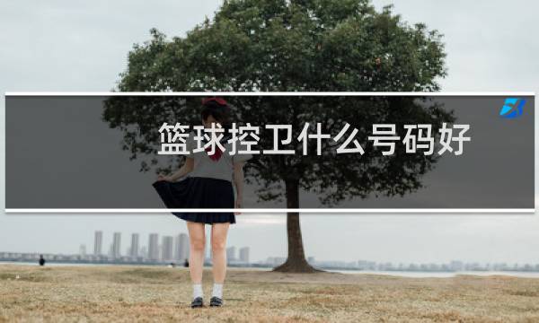 篮球控卫什么号码好图片