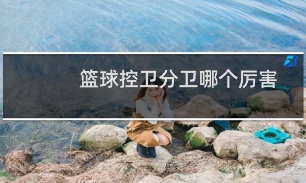 篮球控卫分卫哪个厉害图片