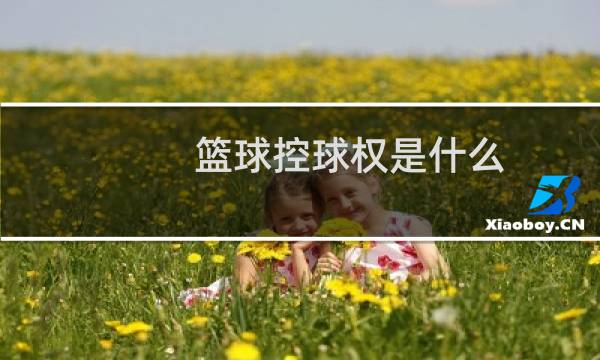 篮球控球权是什么图片