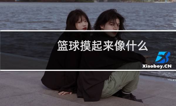 篮球摸起来像什么图片
