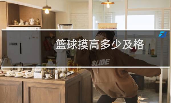 篮球摸高多少及格图片