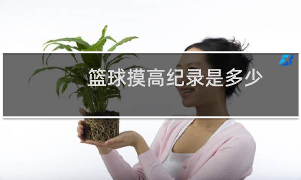 篮球摸高纪录是多少图片