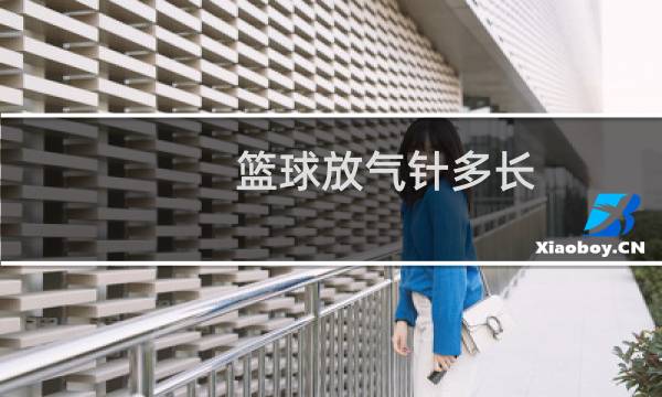 篮球放气针多长图片
