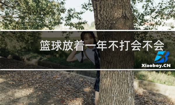 篮球放着一年不打会不会坏图片