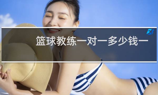篮球教练一对一多少钱一节课图片